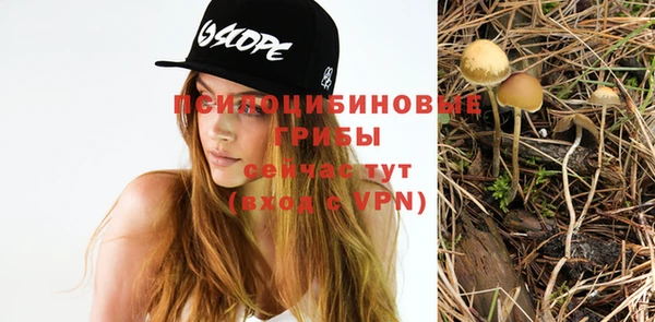 трава Абинск