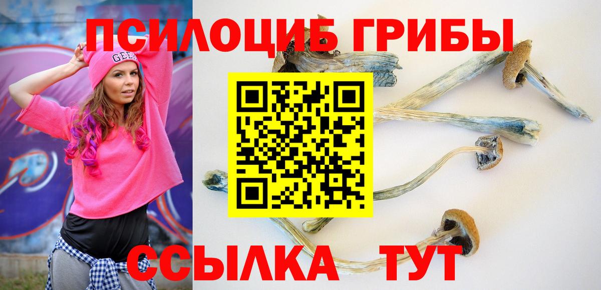 Псилоцибиновые грибы мухоморы Североморск