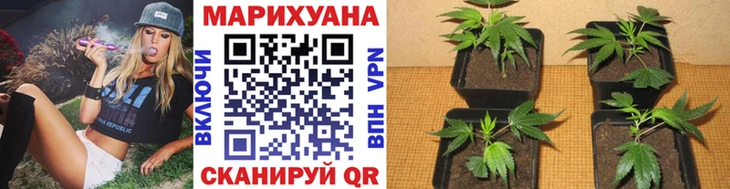 МАРИХУАНА конопля  кракен маркетплейс  Североморск 